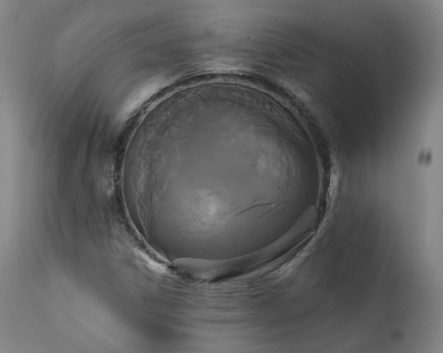 X0000111441306200907131256