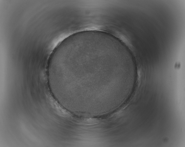 X0000111441308200907131256