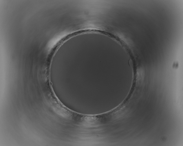 X0000111441310200907131256