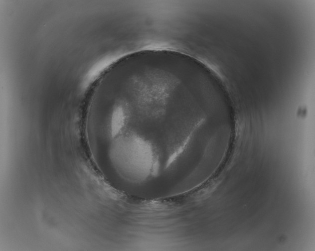 X0000111441311200907131256