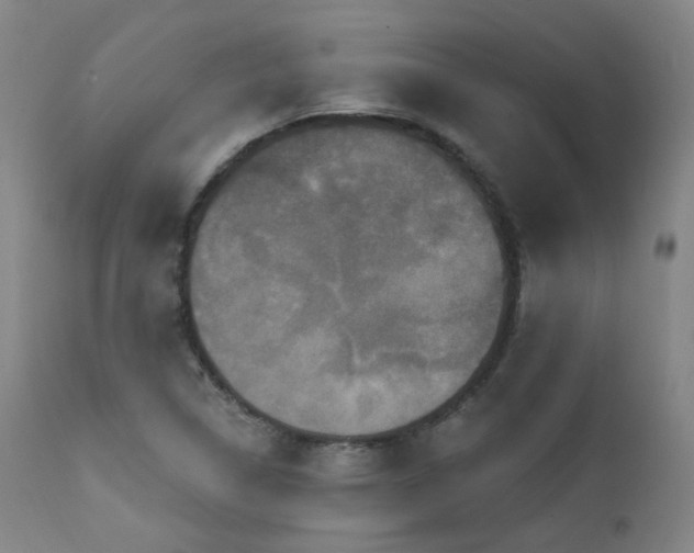 X0000111441314200907131256