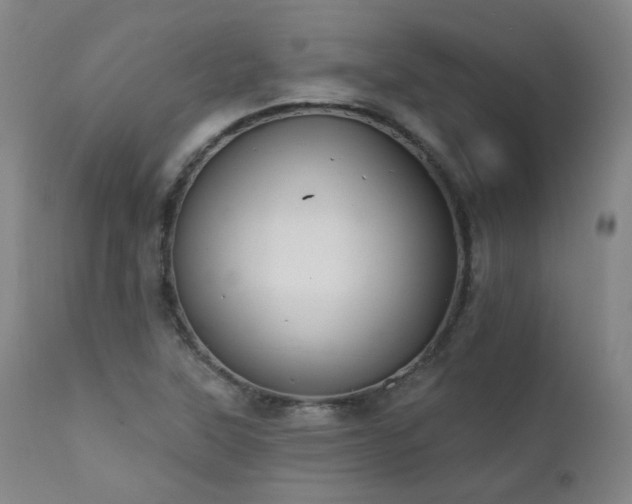 X0000111441315200907131256