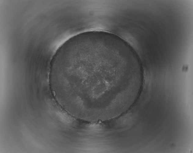 X0000111441316200907131256