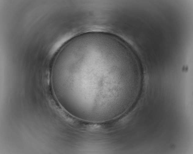X0000111441317200907131256
