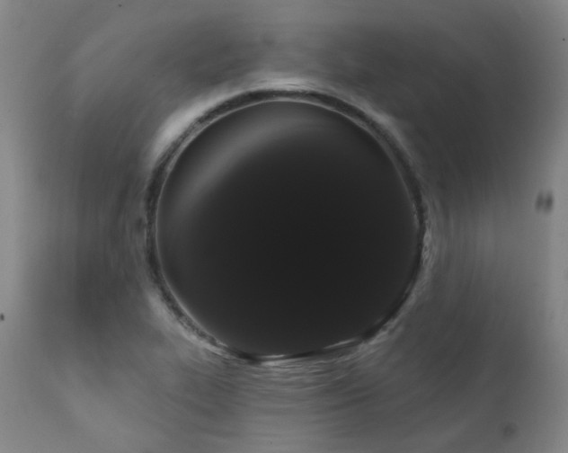 X0000111441319200907131256