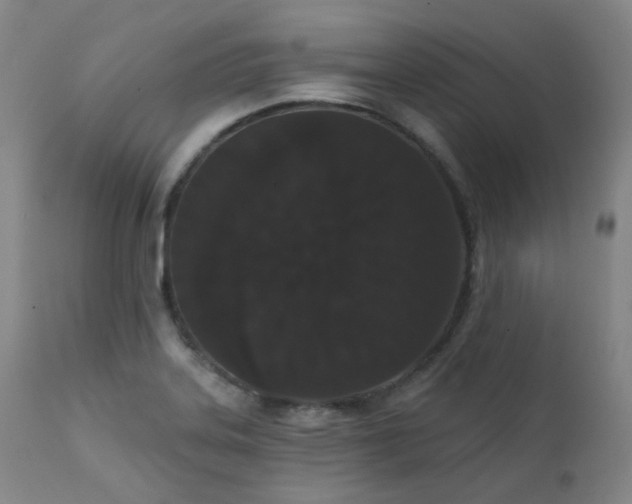 X0000111441323200907131256