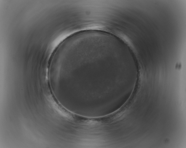 X0000111441324200907131256
