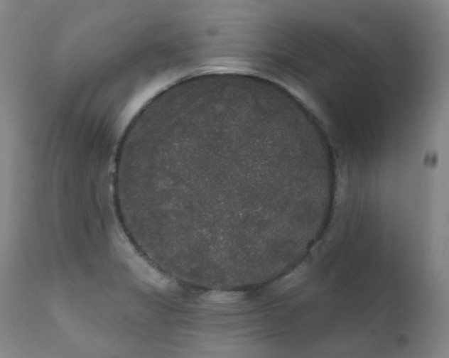X0000111441325200907131256