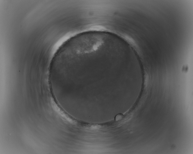 X0000111441326200907131256