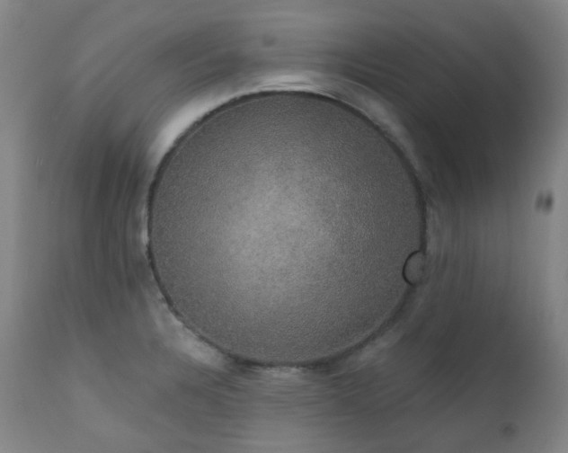 X0000111441328200907131256