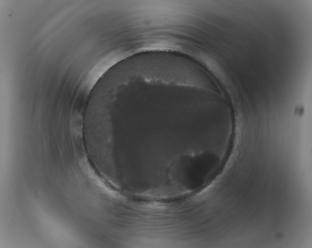 X0000111441329200907131256