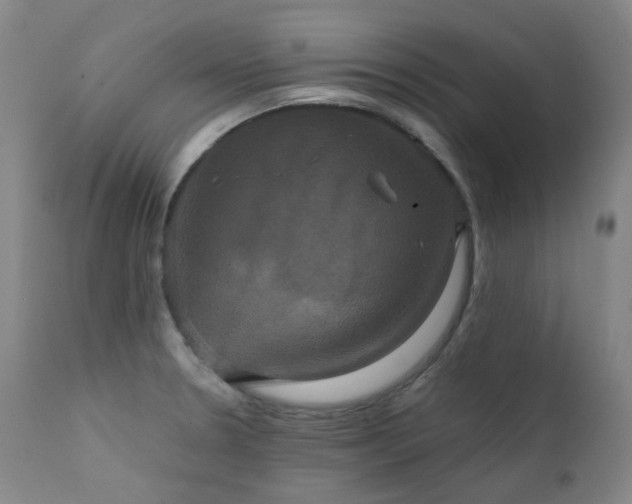 X0000111441330200907131256