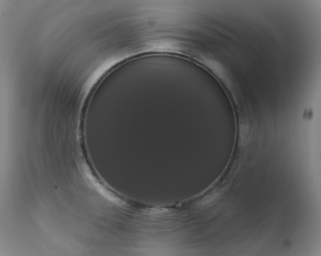 X0000111441331200907131256