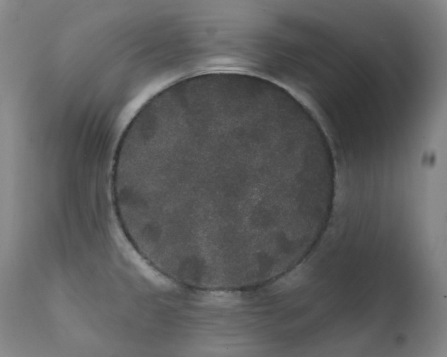 X0000111441333200907131256