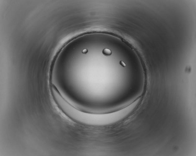 X0000111441334200907131256