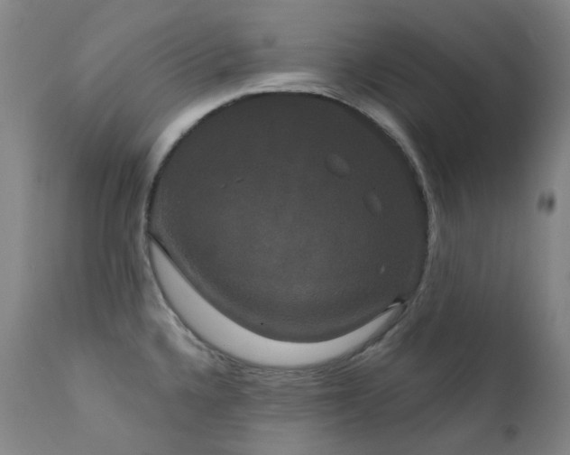 X0000111441336200907131256