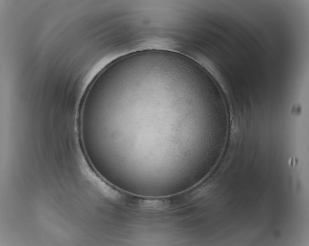X0000111441339200907131256