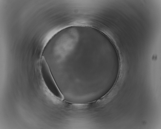 X0000111441344200907131256