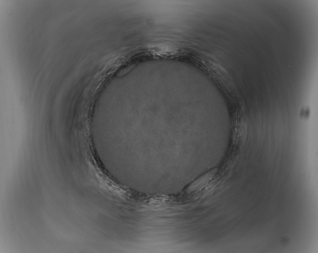X0000111441345200907131255