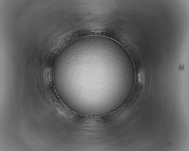 X0000111441347200907131255