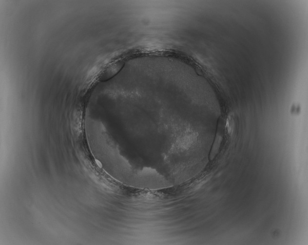 X0000111441348200907131255