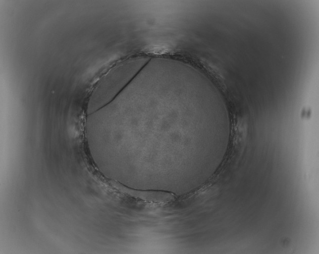 X0000111441349200907131255