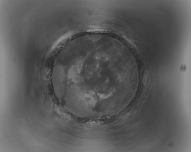 X0000111441351200907131255