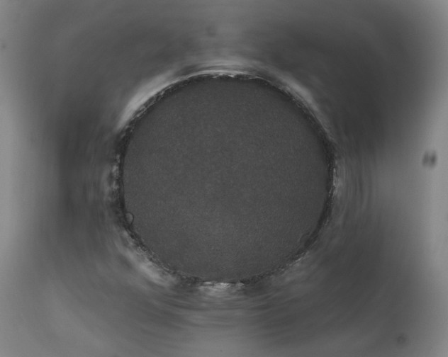 X0000111441352200907131255