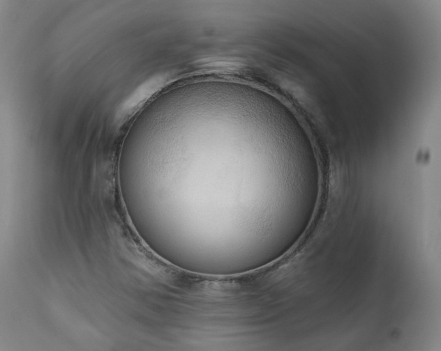 X0000111441354200907131255
