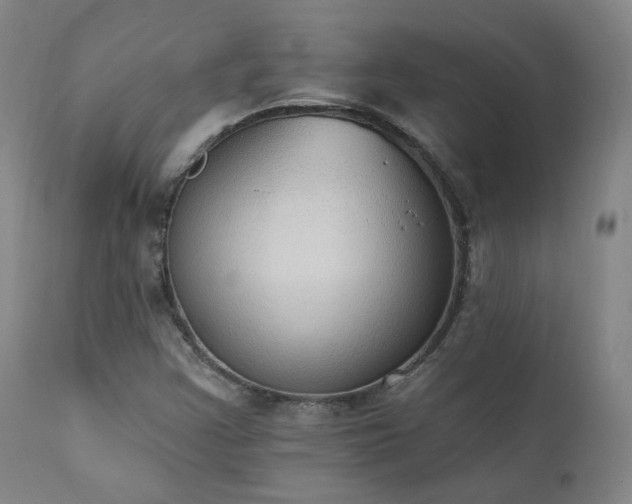 X0000111441355200907131255