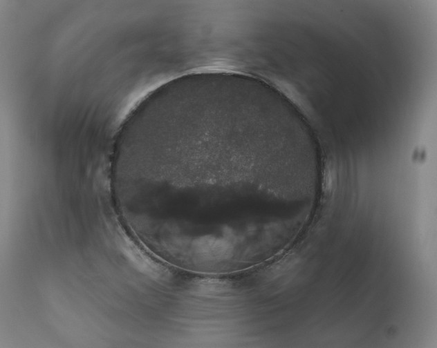X0000111441356200907131255