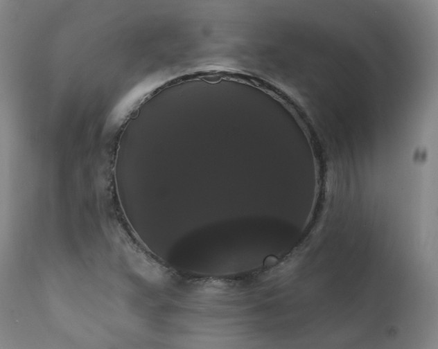 X0000111441359200907131255