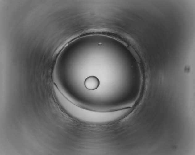 X0000111441361200907131255