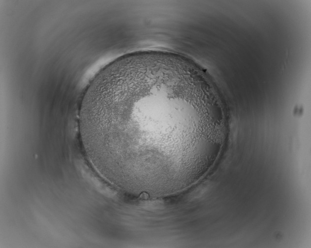 X0000111441363200907131255