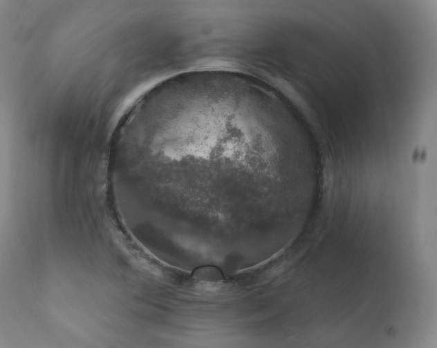 X0000111441364200907131255