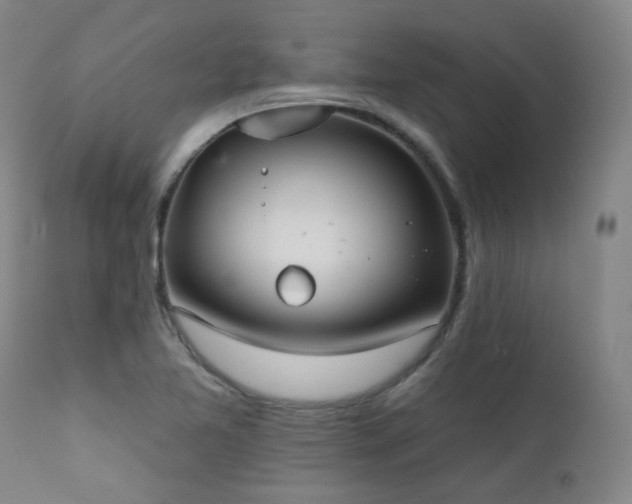X0000111441365200907131255
