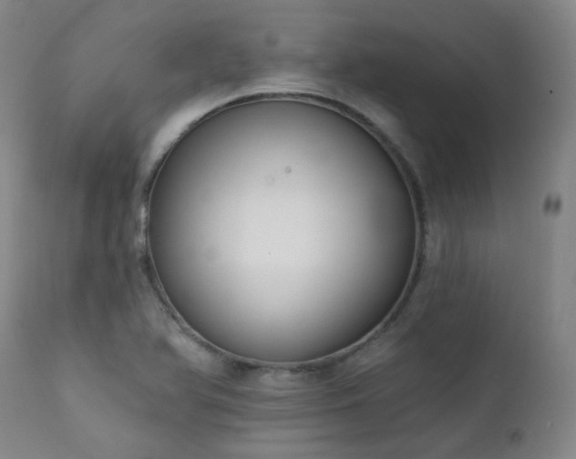 X0000111441366200907131255