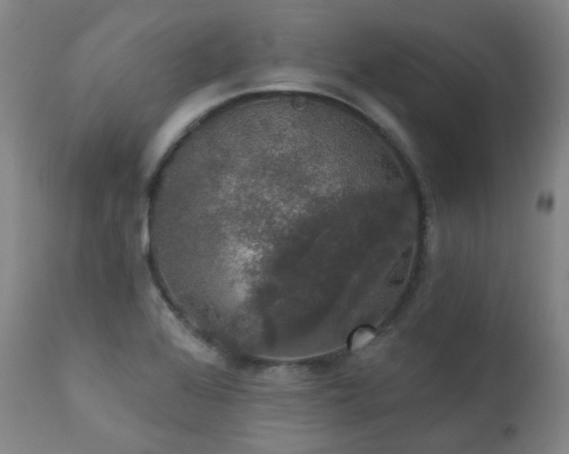 X0000111441368200907131255