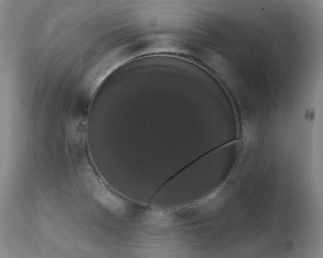 X0000111441369200907131255