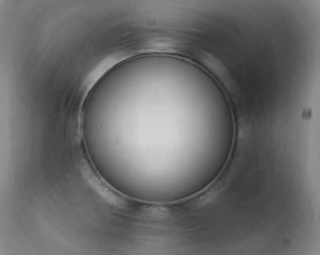 X0000111441370200907131255