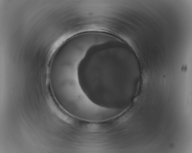 X0000111441371200907131255