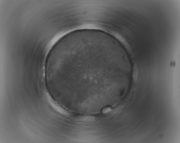 X0000111441372200907131255