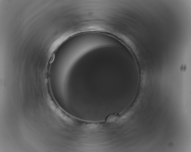 X0000111441373200907131255