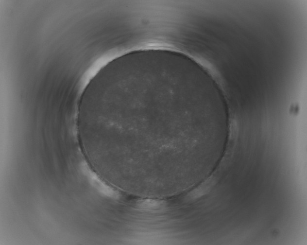 X0000111441374200907131255