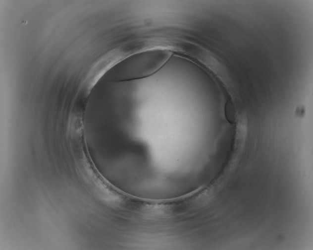 X0000111441377200907131255