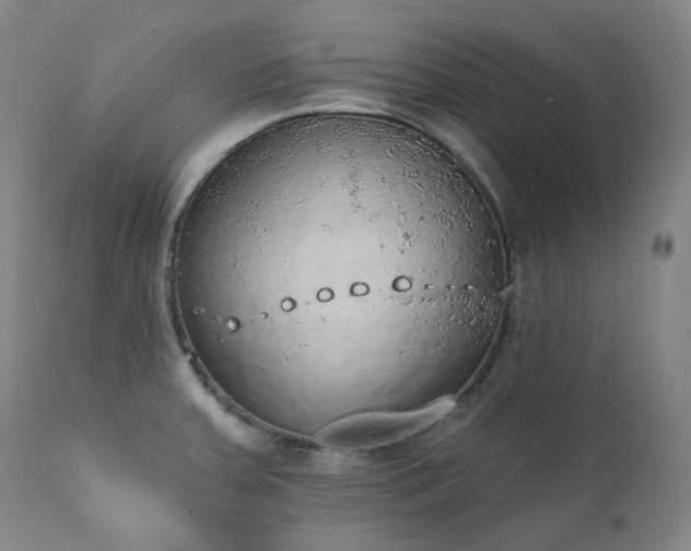 X0000111441379200907131255
