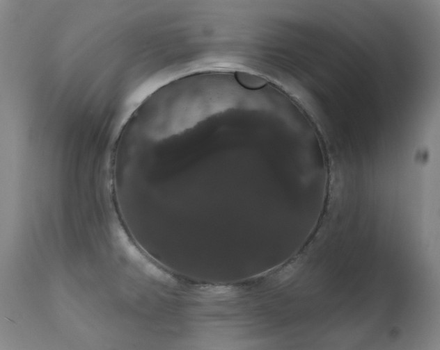 X0000111441382200907131255