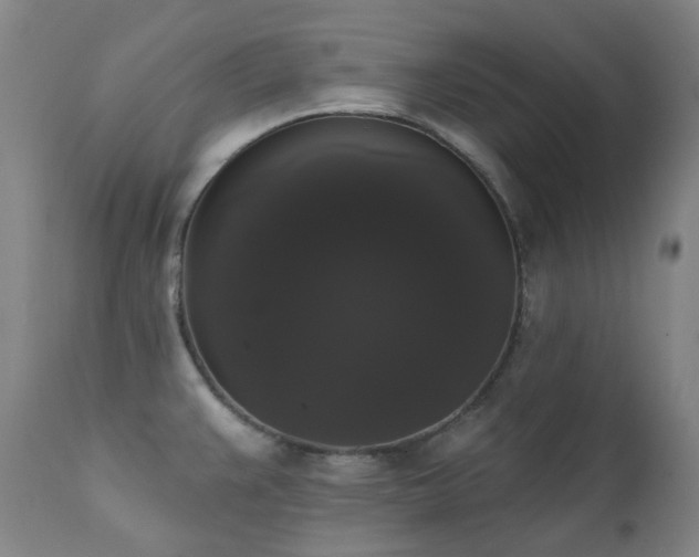 X0000111441383200907131255