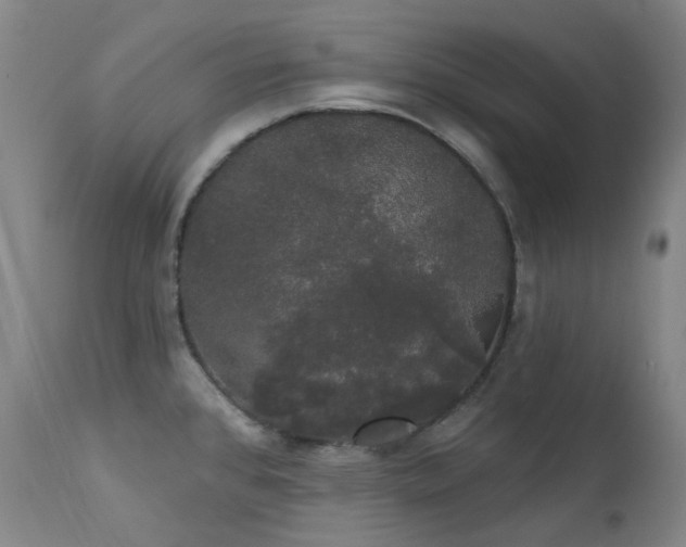 X0000111441384200907131255