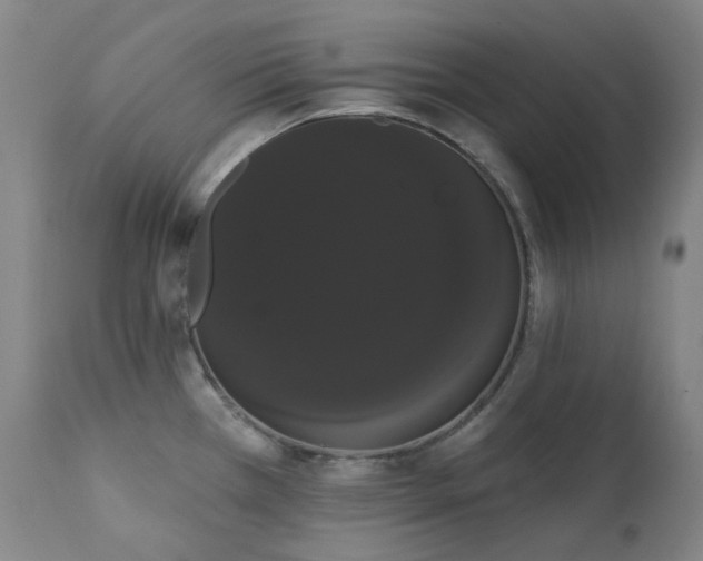 X0000111441385200907131255